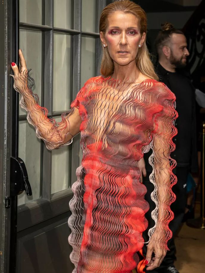 celine dion in red and gray dress